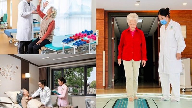 养老护理员职业等级标准：揭秘养老护理行业的“星级”评定